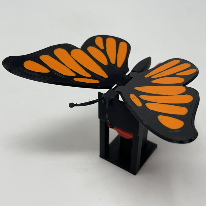 Butterfly Automaton