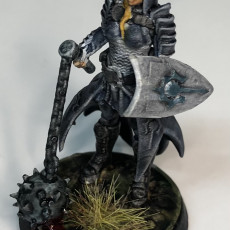 Picture of print of Drow Cleric