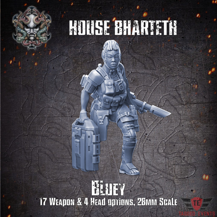 House Bharteth - Bluey's Cover