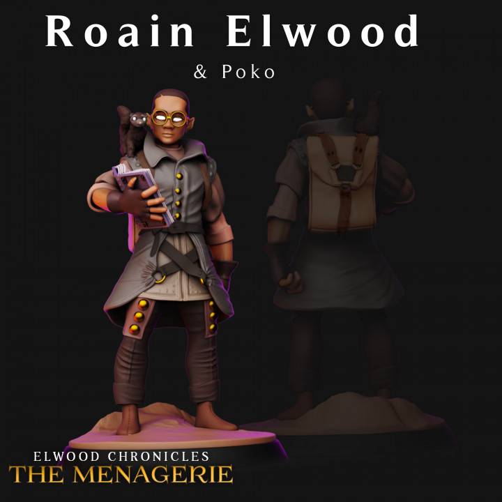Young Wizard Roain Elwood - Pre-Supported's Cover