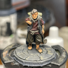Picture of print of Samuel in Mona'Firth - Halfling - Presupported