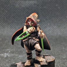 Picture of print of Halfling Rogue
