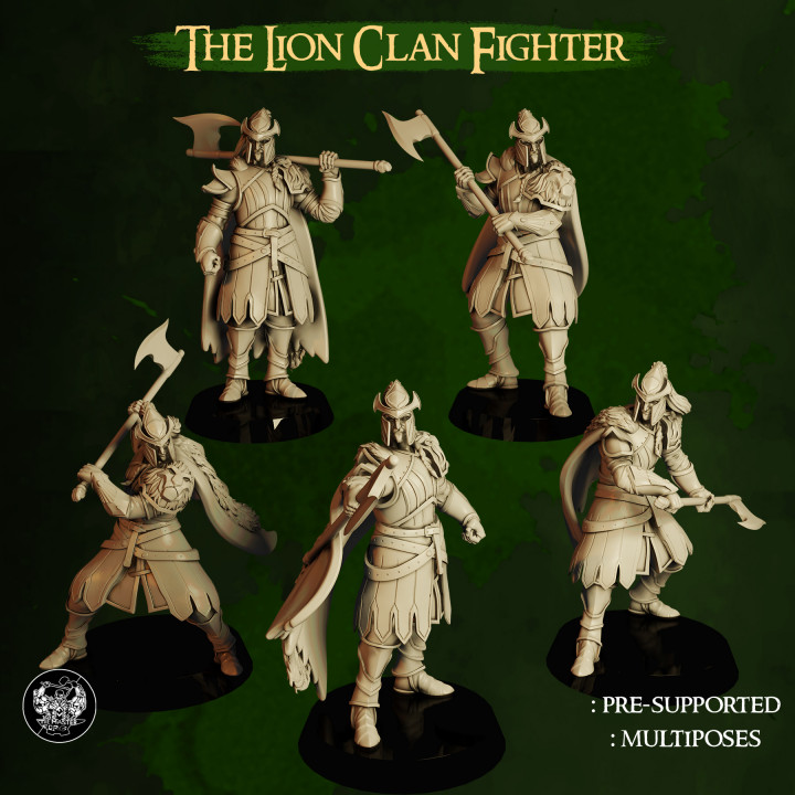 High Elf Lion Clan Fighter's Cover