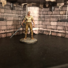 Picture of print of Paladin-1