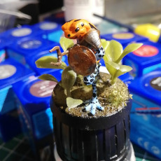 Picture of print of Bullywug - Tabletop Miniature