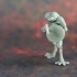 Bullywug - Tabletop Miniature (Pre-Supported) print image