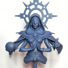 Picture of print of Oracle bust pre-supported