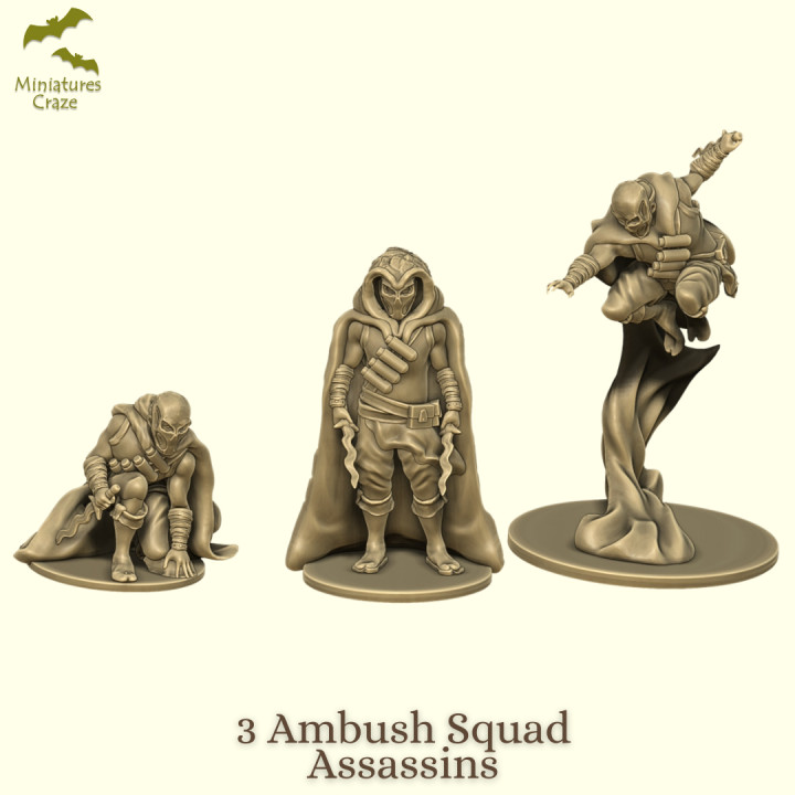Ambush Squad Mercenaries / Assassins's Cover