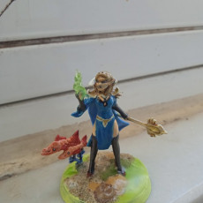 Picture of print of Elves War Mage