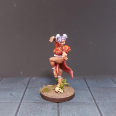 Picture of print of Arilie, the Halfling Monk (3 Versions)