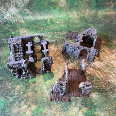 Picture of print of Playable ruins