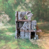 Playable ruins print image