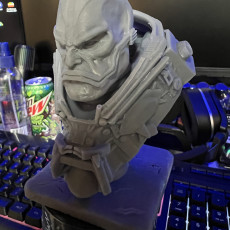 Picture of print of apocalypse bust