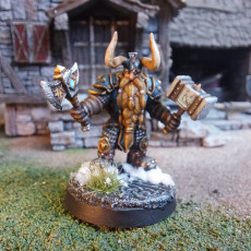 Picture of print of Dwarf Paladin with Weapons
