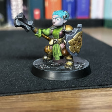 Picture of print of Dwarf Cleric (pre-supported included)
