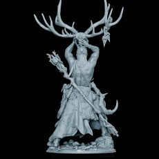 Picture of print of Druid Wappellious 1-12 scale PRESUPPORTED