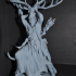 Druid Wappellious 1-12 scale PRESUPPORTED print image