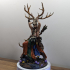 Druid Wappellious 1-12 scale PRESUPPORTED print image