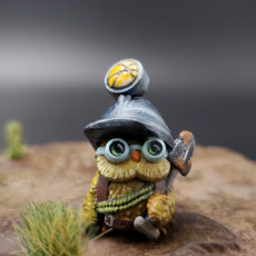Picture of print of Owlkin Miner 1B Miniature - Pre-Supported