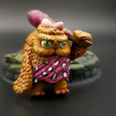 Picture of print of Owlkin Cave Owl Miniature - Pre-Supported