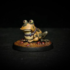 Picture of print of Todd the Toad