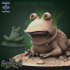 Todd the Toad image