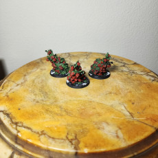 Picture of print of Thornling Swarm