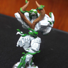 Picture of print of Garden Golem