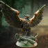 Soaring Forest Guardian - Rolyn image