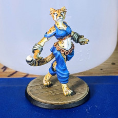 Picture of print of Female Tabaxi Dancer (PRESUPPORTED)