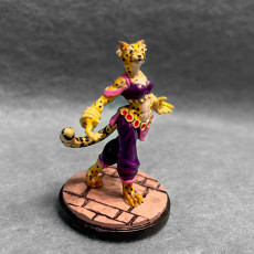Picture of print of Female Tabaxi Dancer (PRESUPPORTED)
