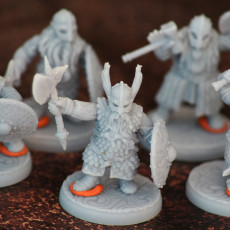 Picture of print of DWARF: Dwarves in Scale armors /Modular/ /Pre-supported/