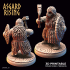 DWARF: Dwarves in Scale armors /Modular/ /Pre-supported/ image