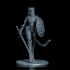 Sheeba, the Tigress Warrior image