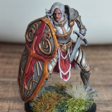Picture of print of Female Human Paladin