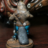 Ragas, Boondaburra Platypus Pirate Bard (Pre-Supported) print image