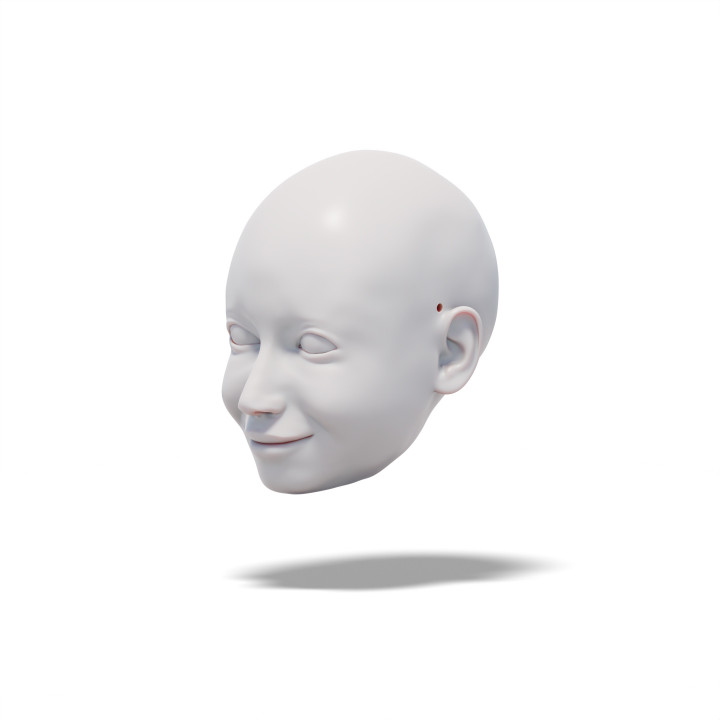 $3.99Pretty Lady, 3D model of head (for doll, marionette, puppet)