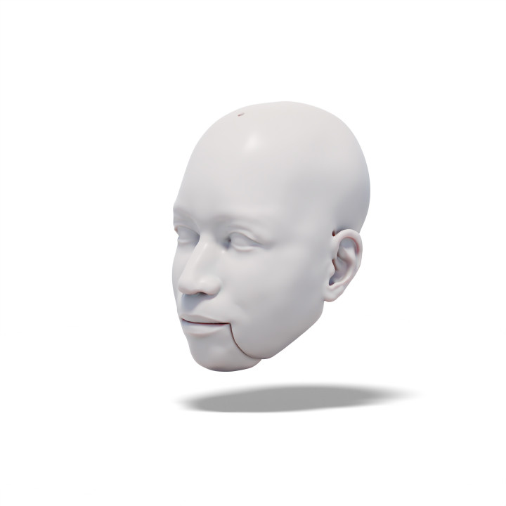 $4.99Charming Man, 3D model of head (for doll, marionette, puppet)