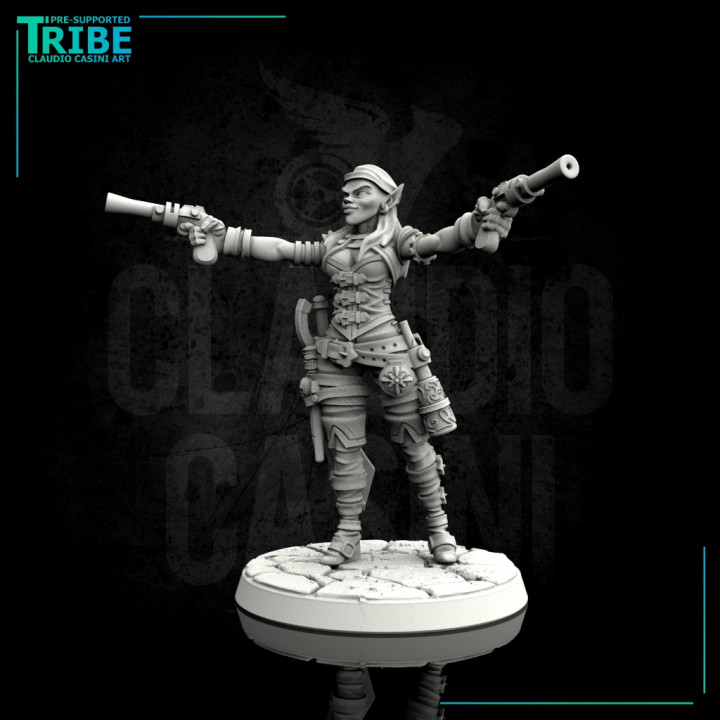 $3.90Female human elf half orc tiefling pirate with guns (0027)