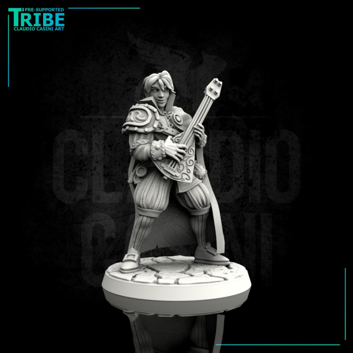 $3.90Male human elf tiefling half orc bard with lute (0082)