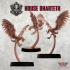 House Bharteth - Cyber Hawk Flock image