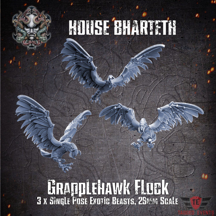 House Bharteth - Cyber Hawk Flock's Cover
