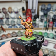 Picture of print of Morley (wandering cat-warrior) - 32mm - DnD