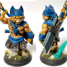 Picture of print of Morley (wandering cat-warrior) - 32mm - DnD