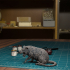 Giant Rat 02 [Pre-Supported] image