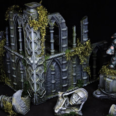 Picture of print of Gothic Terrain