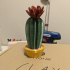 Springo Cactus Trichocereus print image