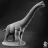 Brachiosaurus - Dinosaur print image