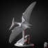 Pteranodon - Dinosaur image