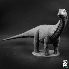 Picture of print of Apatosaurus/Brontosaurus - Dino
